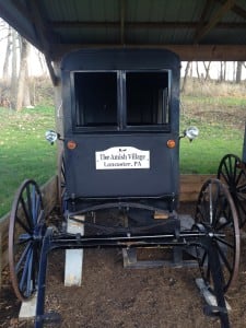 Amish Buggy 1