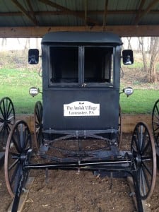 Amish Buggy 2