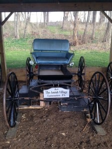 Amish Buggy 3