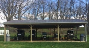 Amish Buggys-Pavilion