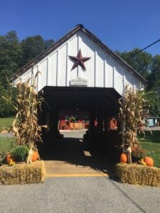 Covered Bridge [Fall]