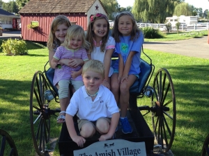 Young kids on Amish buggy