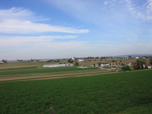 Amish farmland landscape