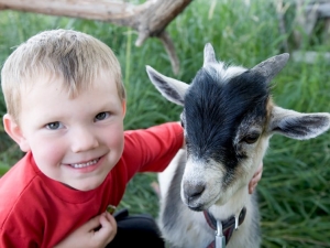 Boy with goat