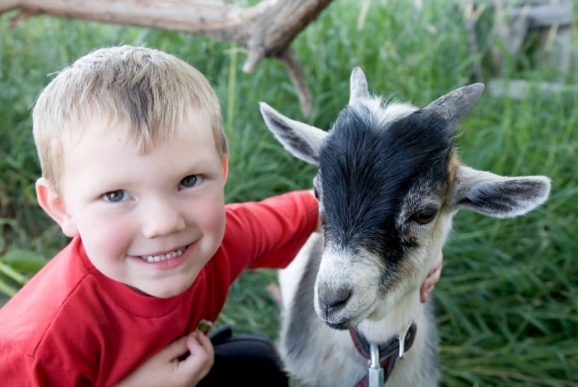 Boy with goat