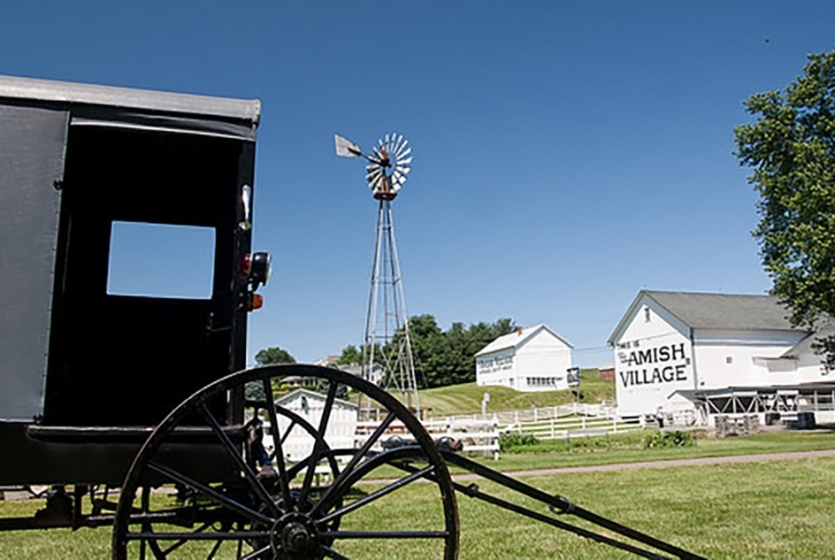 Amish buggy and property