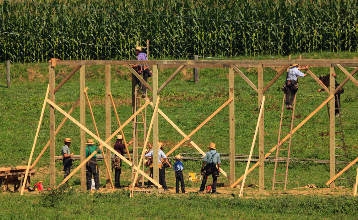 New Providence, PA, USA - July 30, 2013: Amish farmers at a “barn raising” in rural Lancaster County.