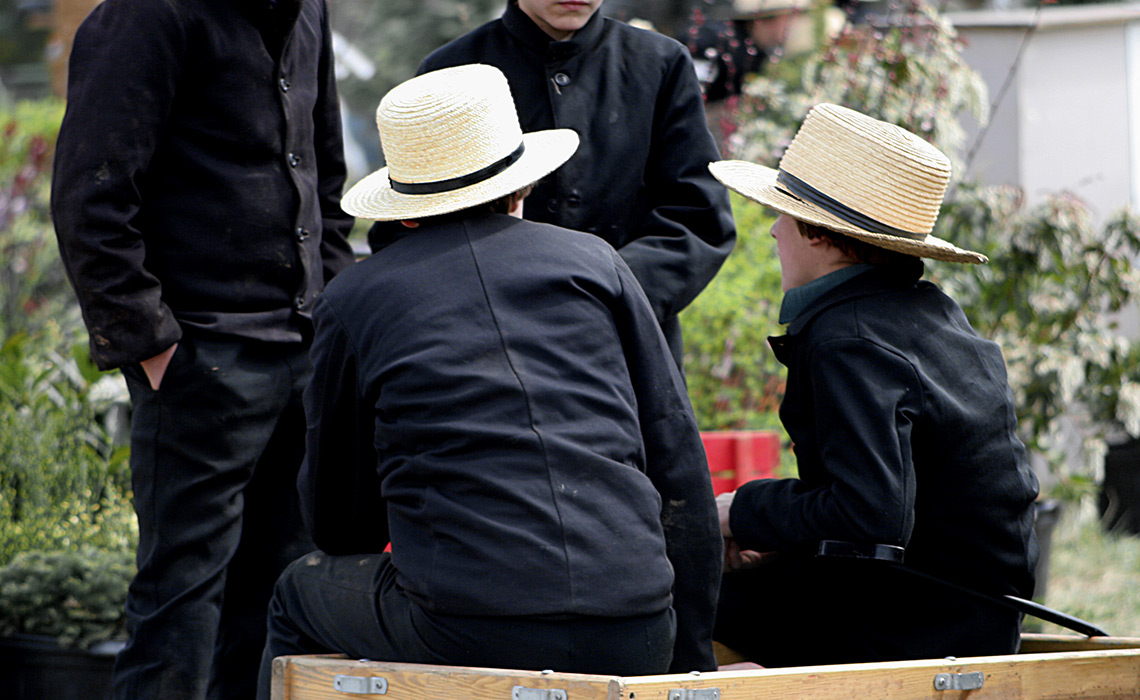 Two Amish boys sit on a wagon.