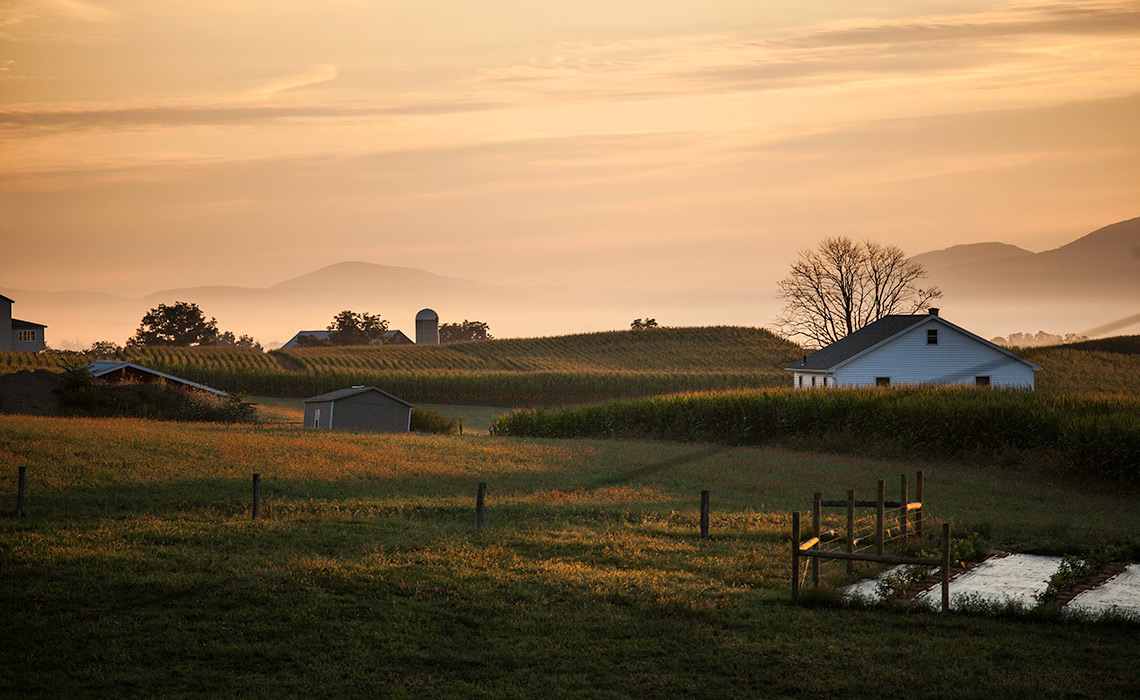 Early Morning overlooking the farm fields.