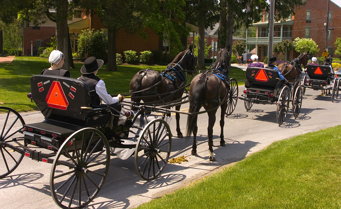 Amish in courting buggies