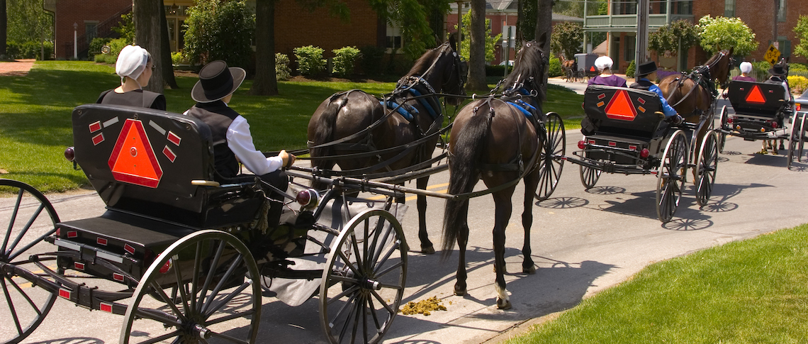 Amish in courting buggies